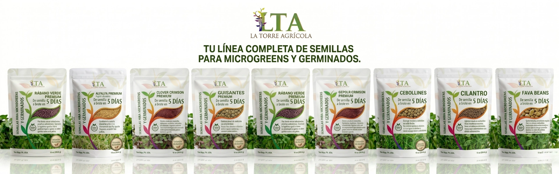 Semillas para germinacion