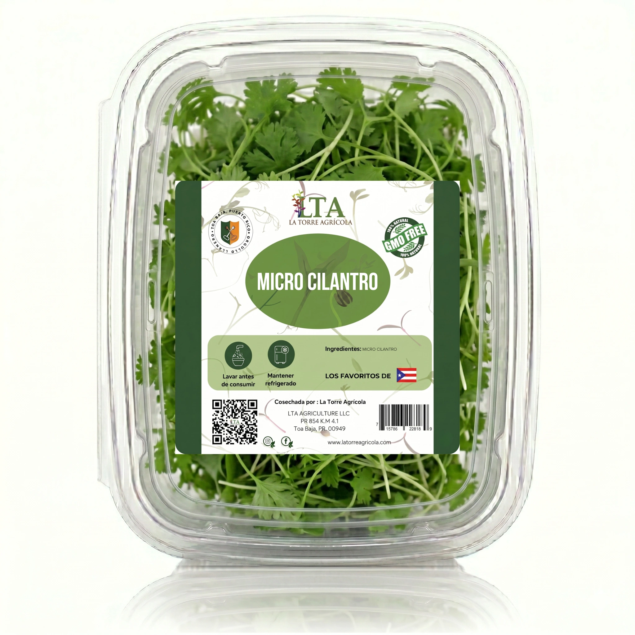 Micro Cilantro