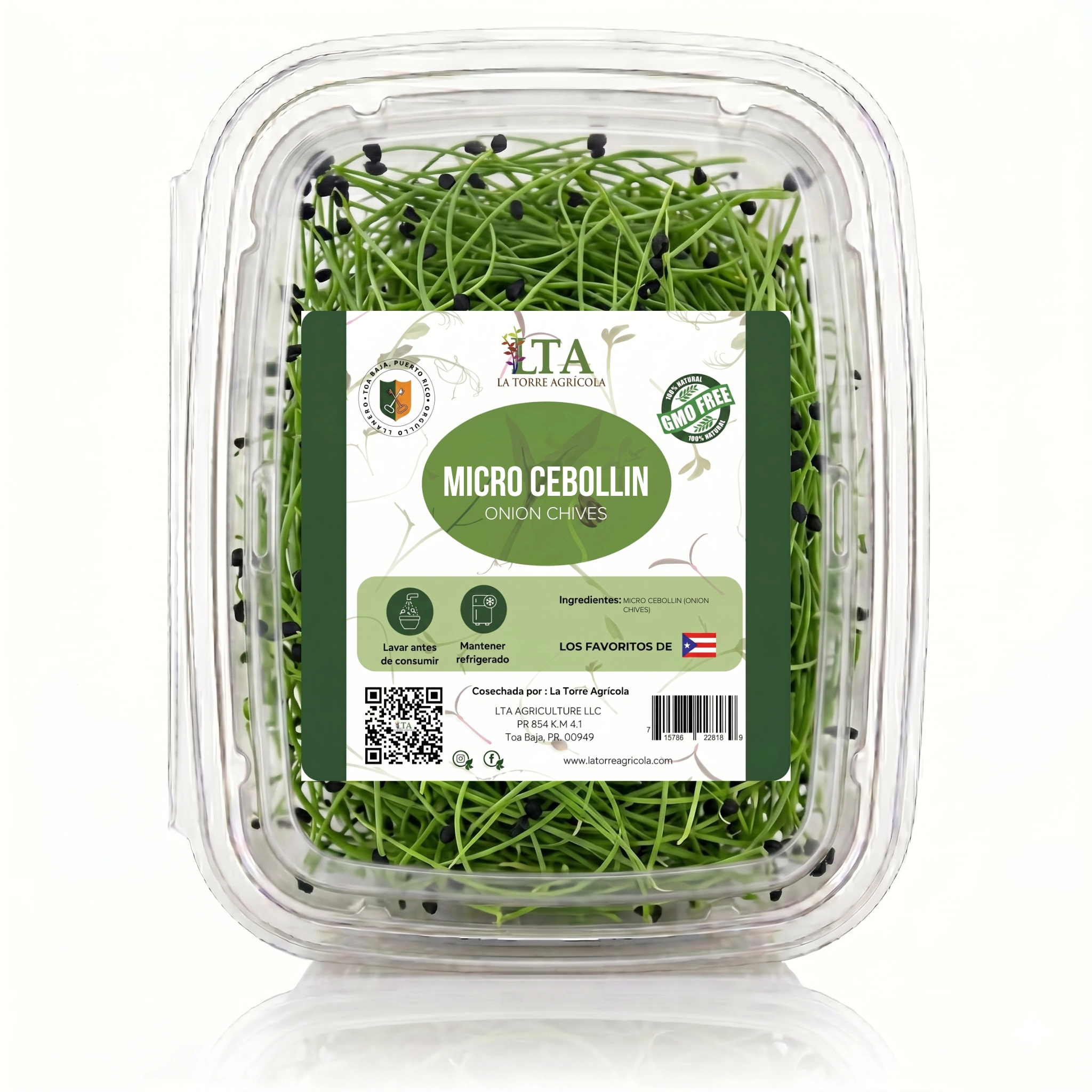 Micro Cebollín (Onion Chives)