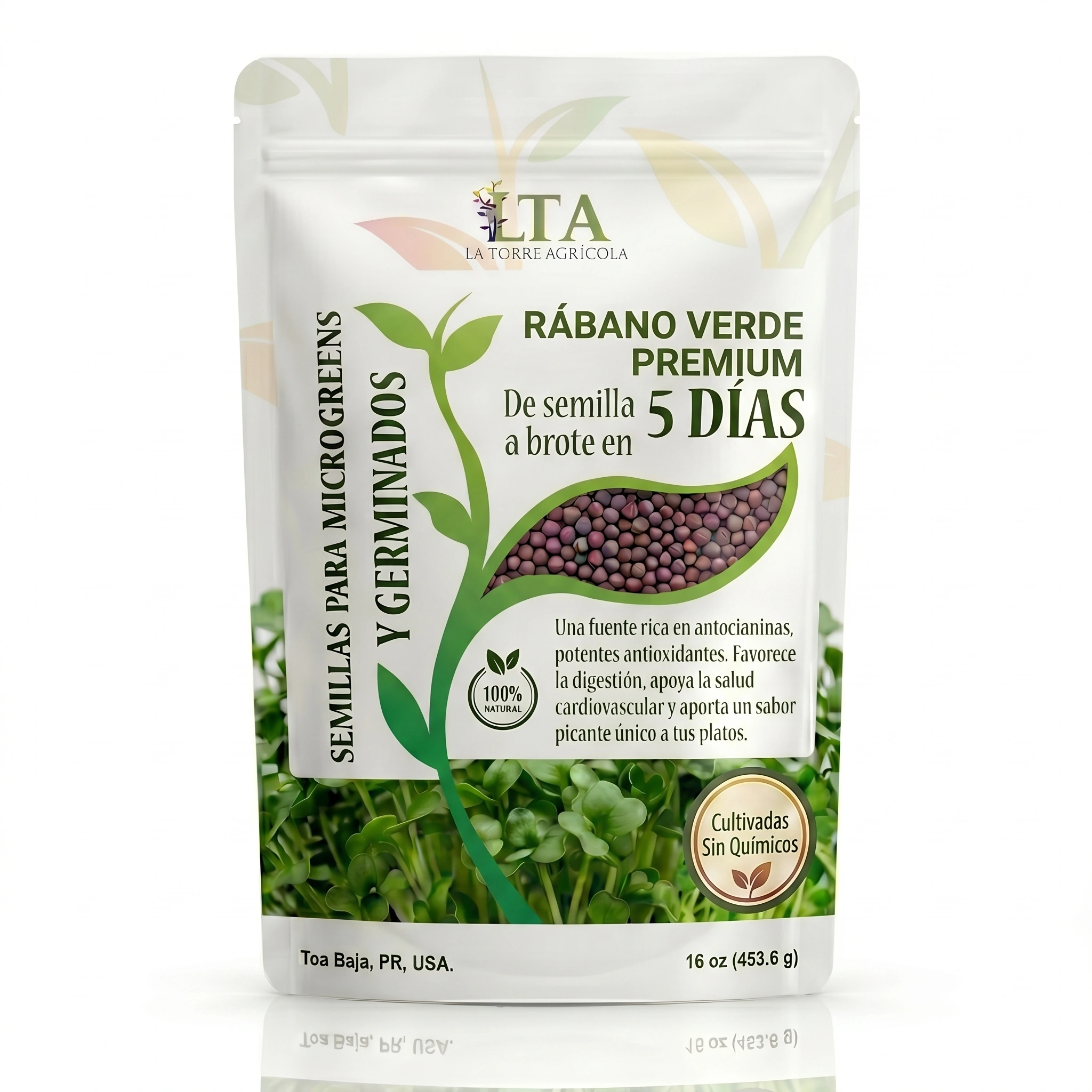 Rábano Verde Premium