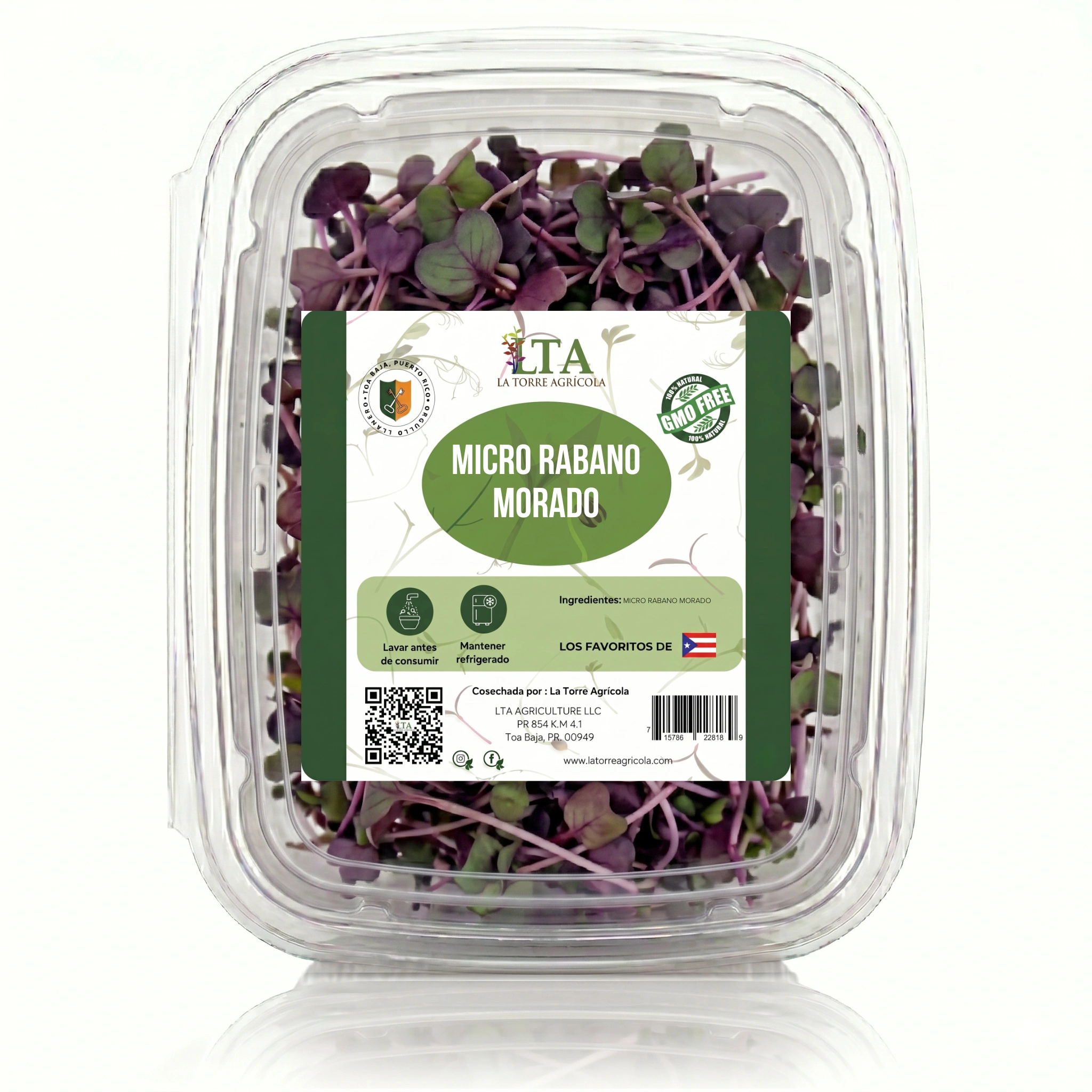 Micro Rábano Morado (Purple Radish)